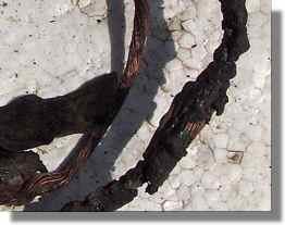 Burnt out wiring from Womble.