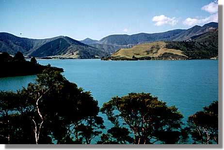 Cowshed bay near Picton.