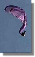 Tomas Morsinc in trouble?